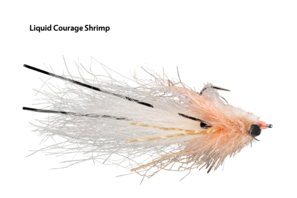 RIO Permit Fly Assortment RIO Permit Fly Assortment